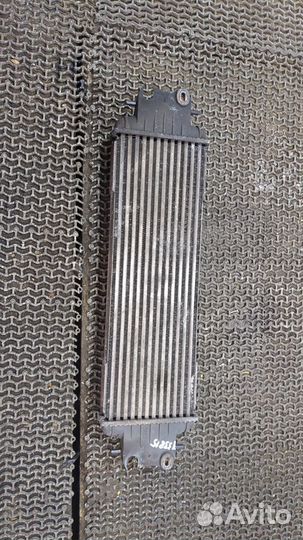 Радиатор интеркулера Opel Vivaro, 2006