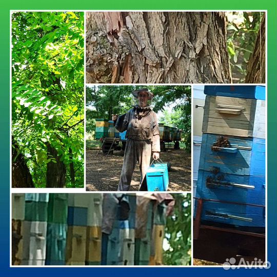 Мед Натуральный