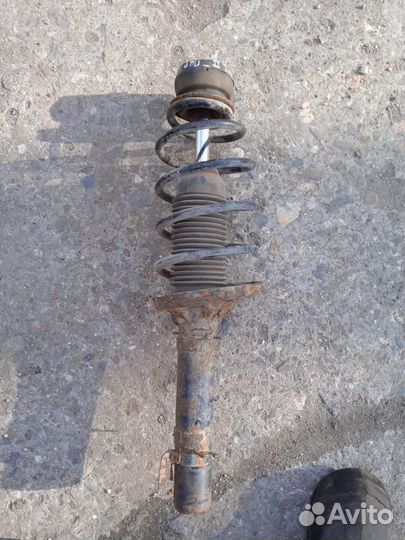 Амортизатор передний в сборе ford focus 2