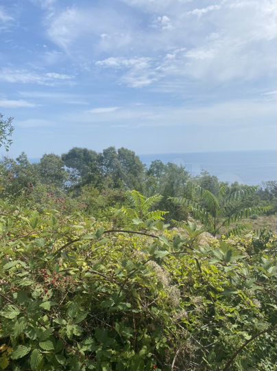 Участок 15 сот. (ИЖС)