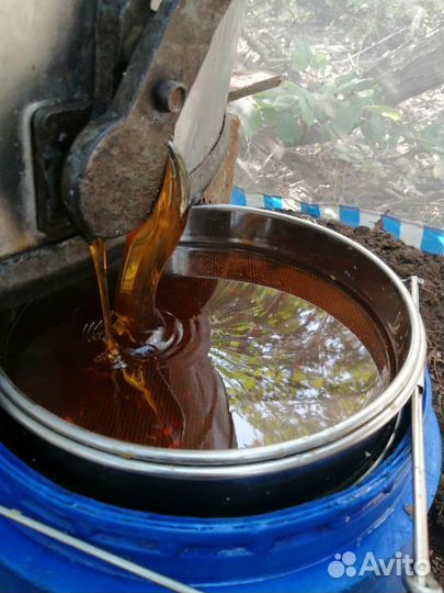 Гречишный мёд в Казани