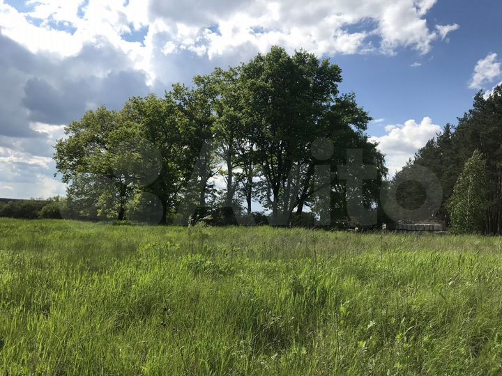 Участок 15 сот. (ИЖС)