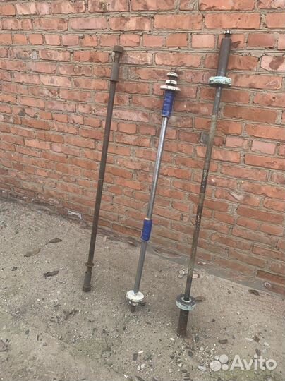 Грифы, блины