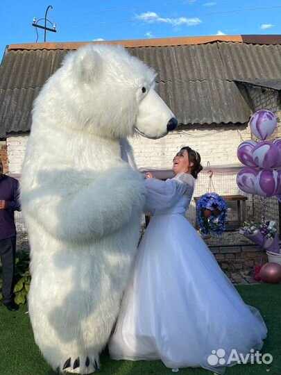 Белый медведь аниматор