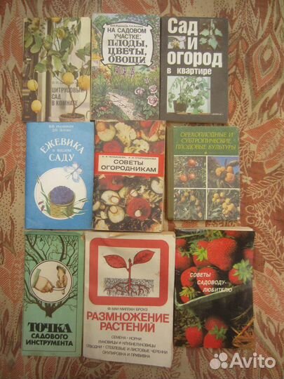 Я.Х. Пантиелев. Витамины с грядки. 1993 год