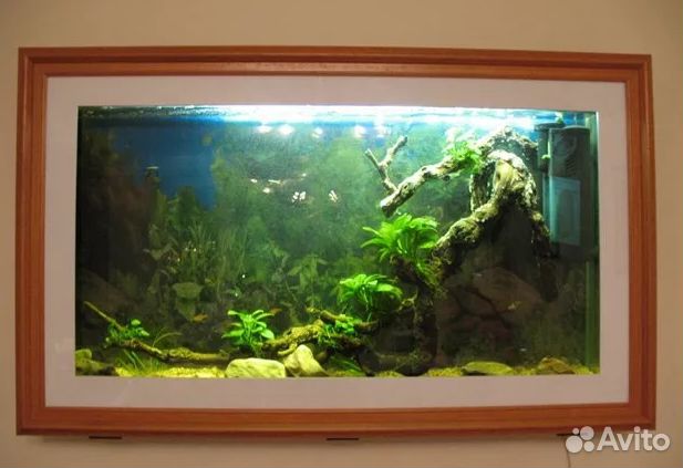 Аквас на стену