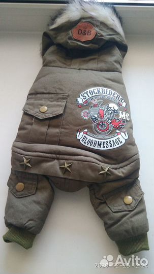 Одежда для собак