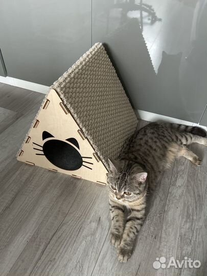 Кошачий домик с когтеточкой