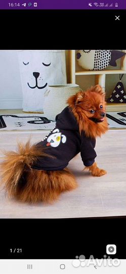 Толстовка для собак 3 размера новая