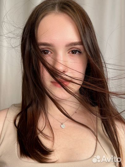 Мастер бровист