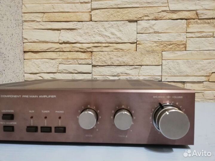 Усилитель Europhon TA88