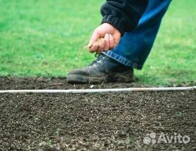 Продажа Рулонного газона