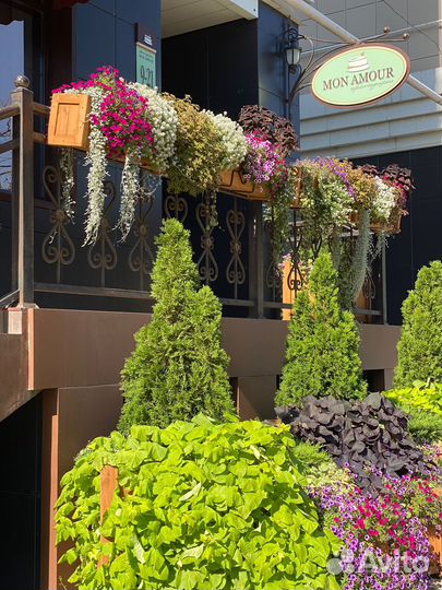 Посудница, Работник клининга (уборщица)