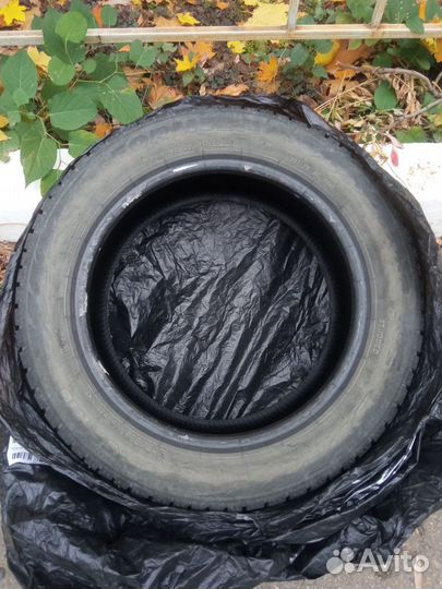 Formula Ice 205/55 R16 91T