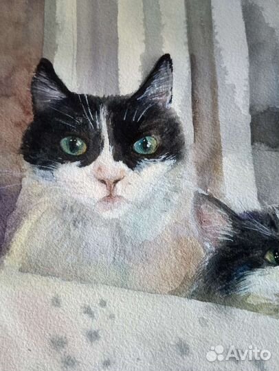 Акварель Покормите котика