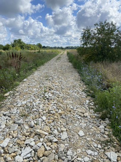 Участок 8 сот. (ИЖС)