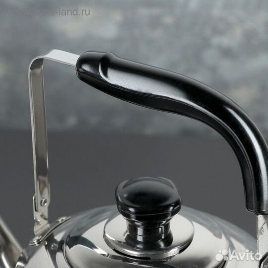 Чайник из нержавеющей стали «Чайковский», 3 л, цве