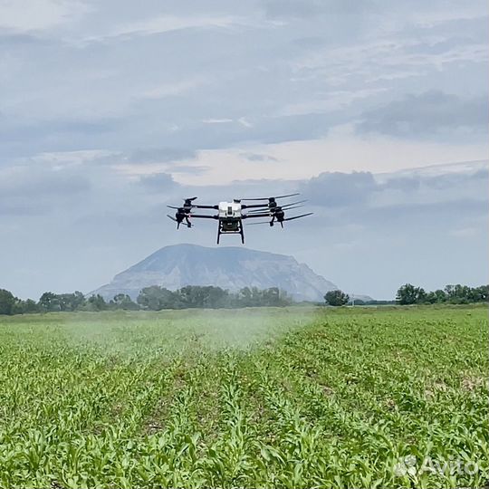 Обработка полей дронами