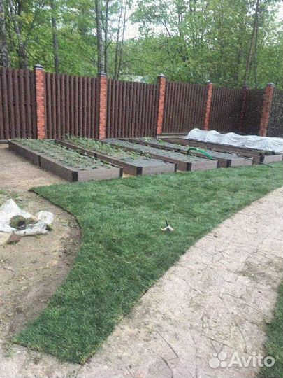 Рулонные газоны