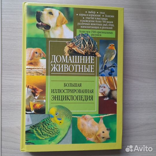 Домашние животные. Большая энциклопедия