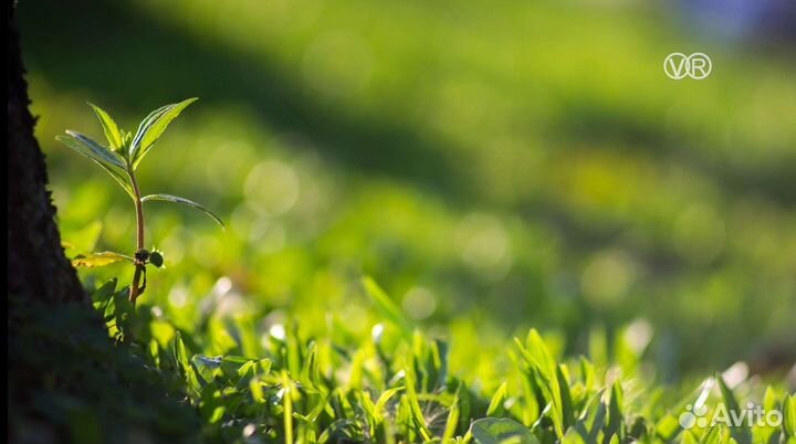 Объектив Helios 135/2,8, новый,производство Япония