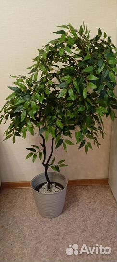 Искусственный фикус оливка