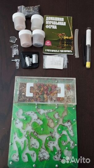 Муравьиная ферма с муравьями