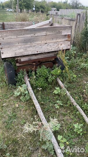 Лошадь кобыла