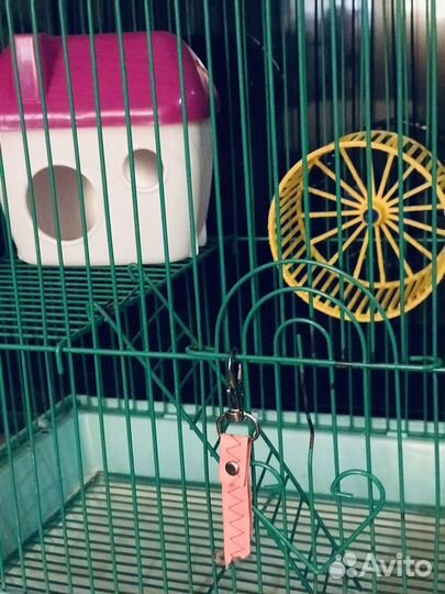 Клетка для грызунов