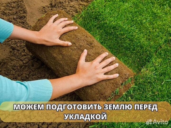 Укладка и продажа газона