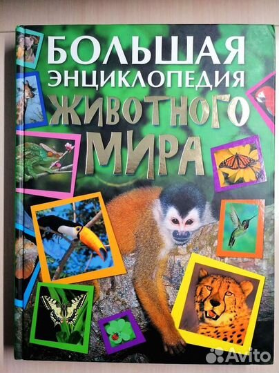 Большая энциклопедия животного мира