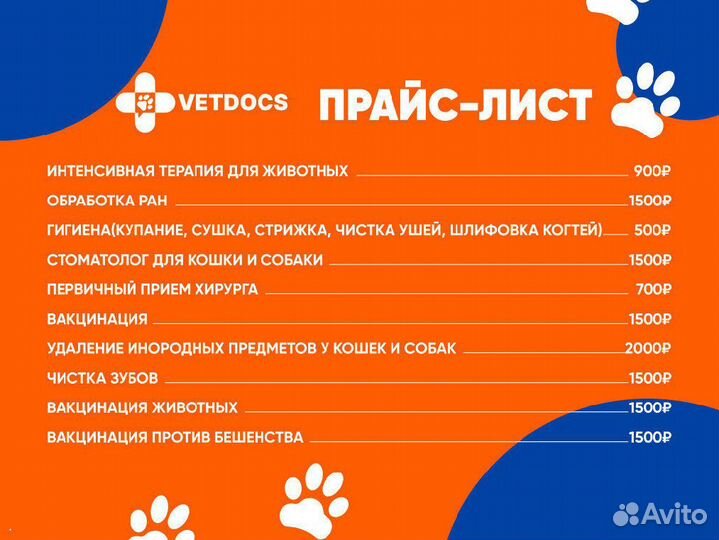 Скорая ветеринарная помощь. Ветеринарный врач