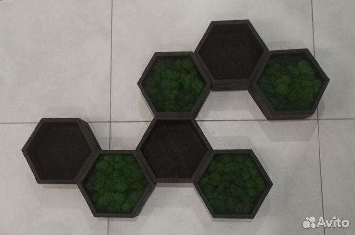 Панно из стабилизированного мха