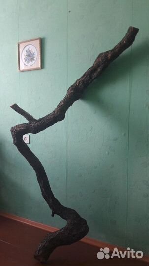 Коряга большая под светильник