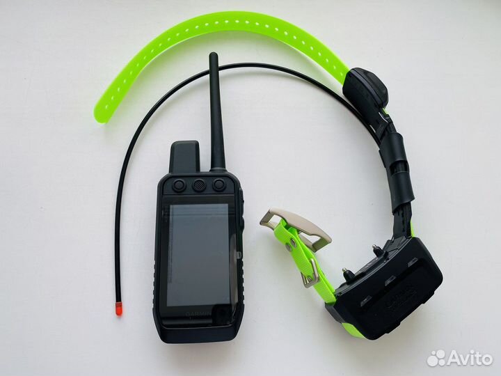 Набор для собак Garmin Alpha 200 + TT15x
