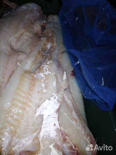 Филе трески из свежей рыбы