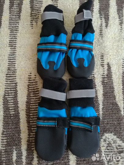 Одежда и обувь для маленьких собак