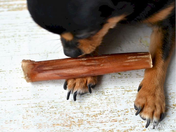 Корм для собаки. Одобрен врачами