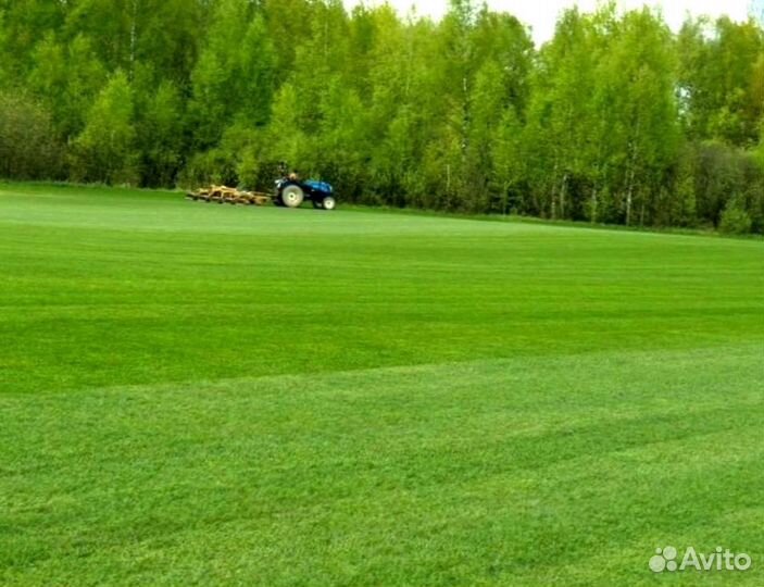 Рулонный газон