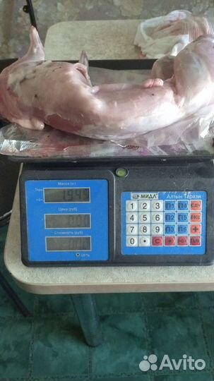 Продаю мясо домашнего кролика