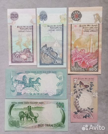 Животный мир на бонах Евразии