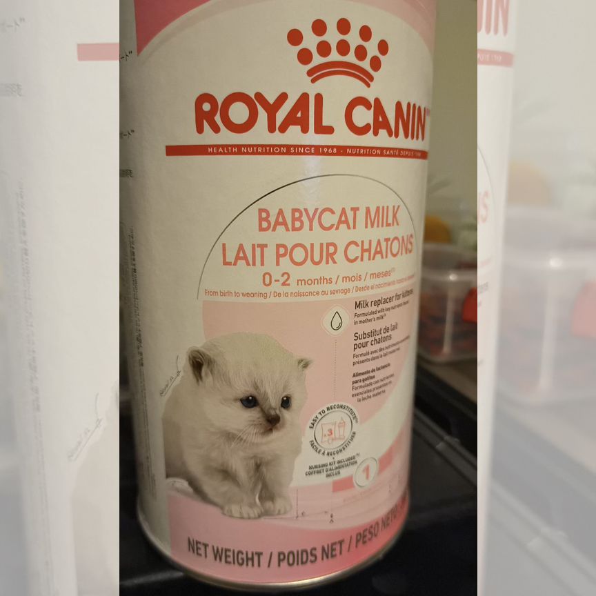 Заменитель молока для котят Royal Canin