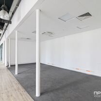 Сдам офисное помещение, 1246.1 м²