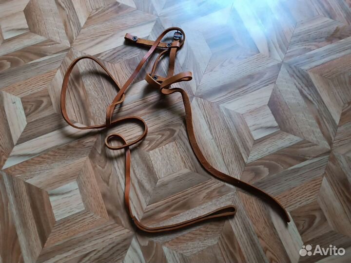 Кошачьи принадлежности