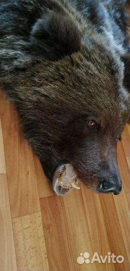 Медведь имитация