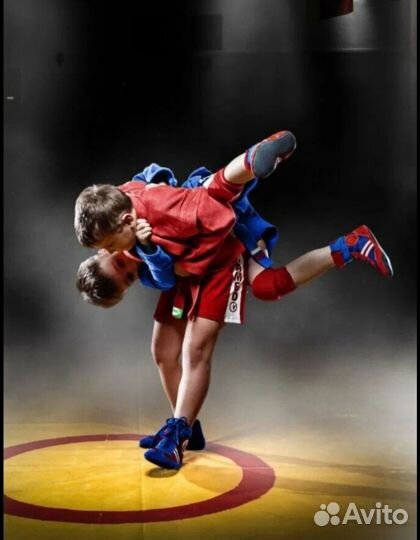 Секция самбо