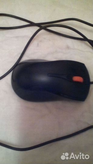 Мышь для компа