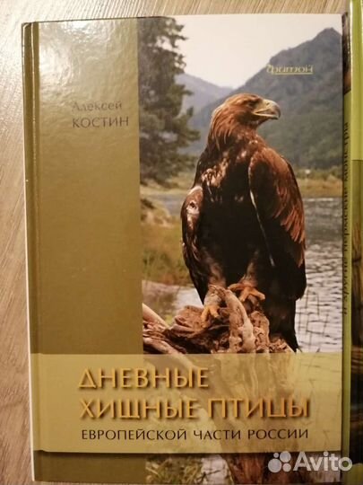 Энциклопедия