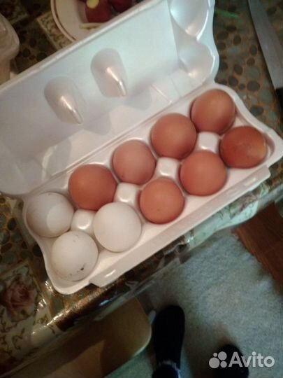 Деревенские молоко и творожок, сыр, яйца