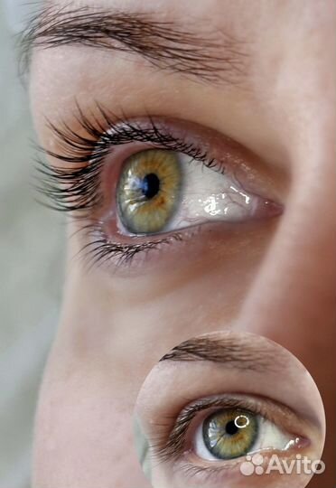 Ламинирование velvet ресниц + ботокс 6D питание